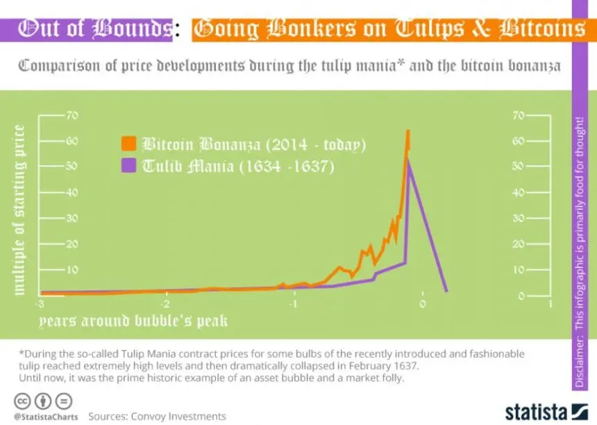 비트코인, 제2의 튤립?…”튤립 파동과는 성격 달라”