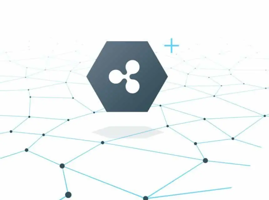 XRP(리플코인), 시장 반등 국면에 가장 큰 조정세 보여