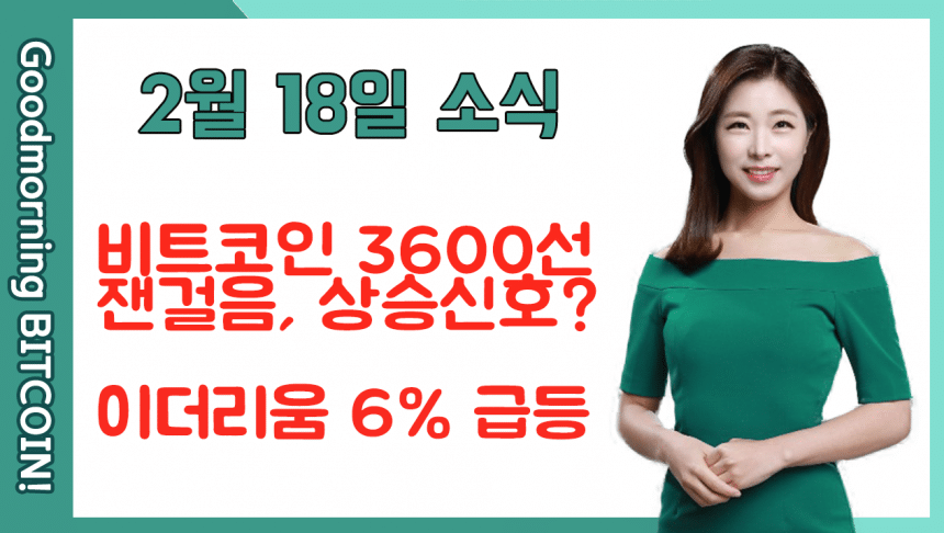 [굿모닝 비트코인] 0218 ‘초록불’ 켠 비트코인, 3600선에서 잰걸음