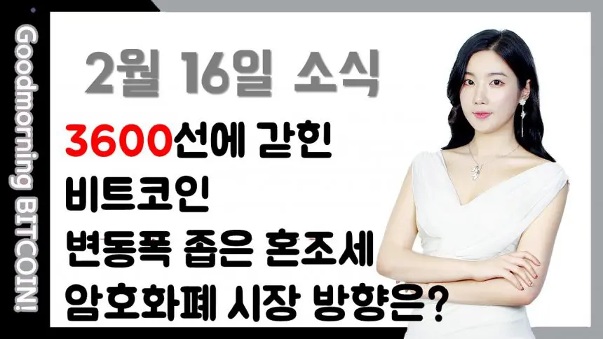 [굿모닝 비트코인] 0216 지루한 움직임의 비트코인, 3600달러 선에서 횡보, 전반적 약보합세