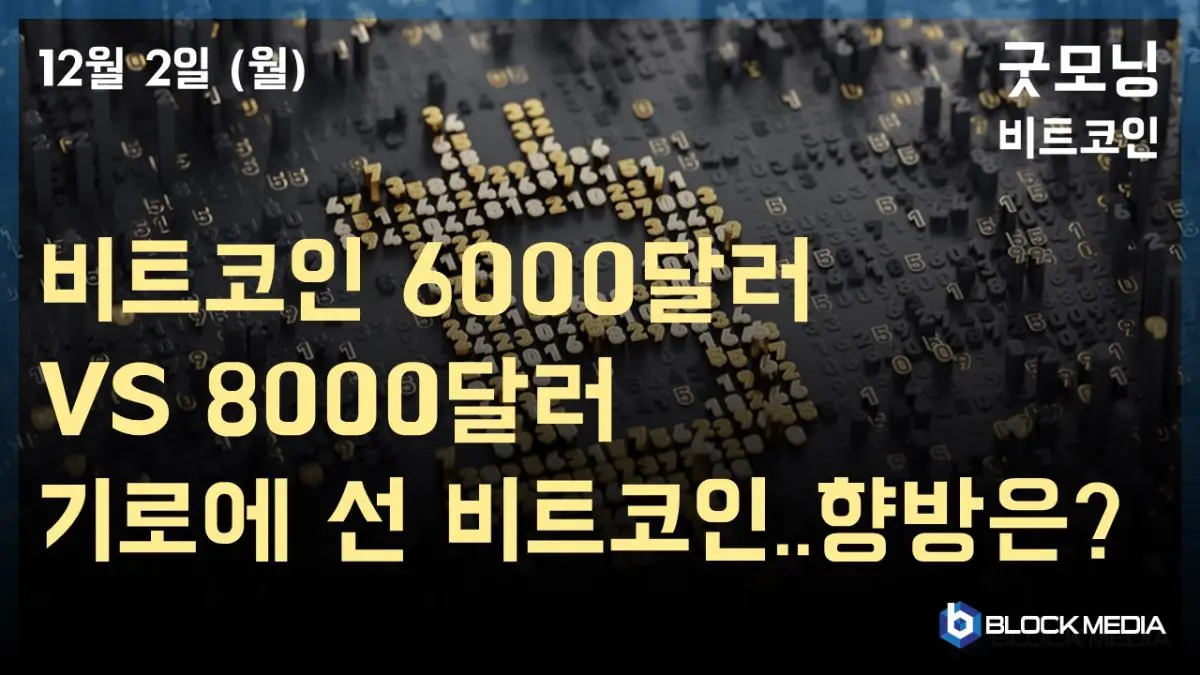 [굿모닝 비트코인] 1202 8000달러 대 회복 vs 6000달러 추락, 갈림길 선 비트코인