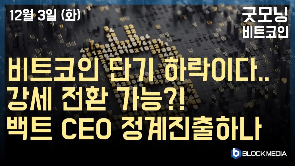 [굿모닝 비트코인] 1203 비트코인 단기 하락이다..강세 전환 가능?! 백트 CEO 정계진출하나