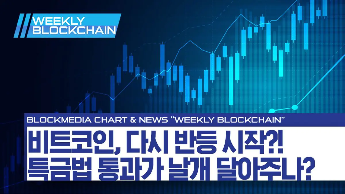 [위클리블록체인] – 비트코인, 특금법 통과로 가격상승?!