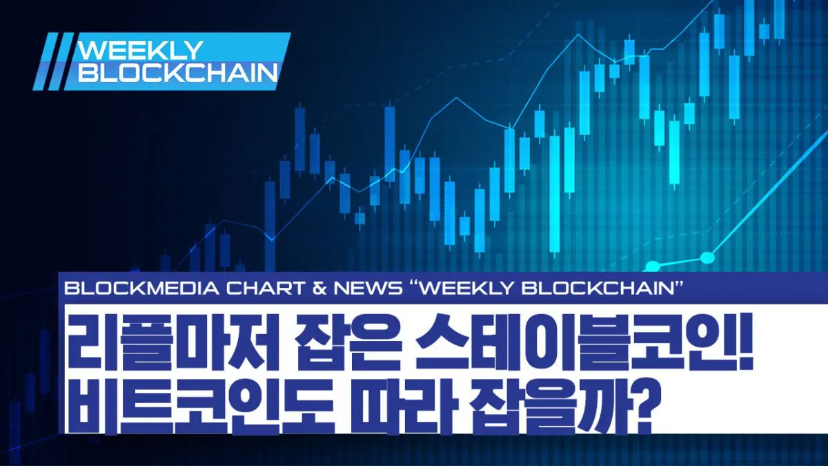 [위클리 블록체인] 차트편 – 리플 잡은 스테이블코인! 비트코인도 잡을까?!