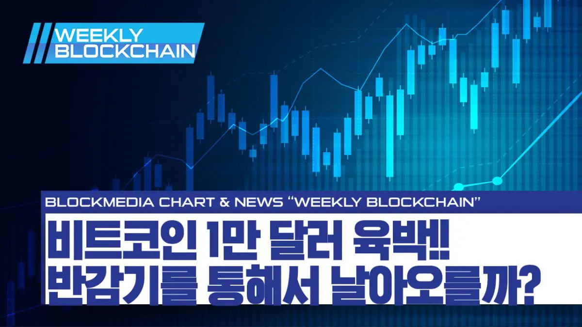 [위클리블록체인] 차트편 – 비트코인 1만 달러 육박! 반감기로 더 오른다?