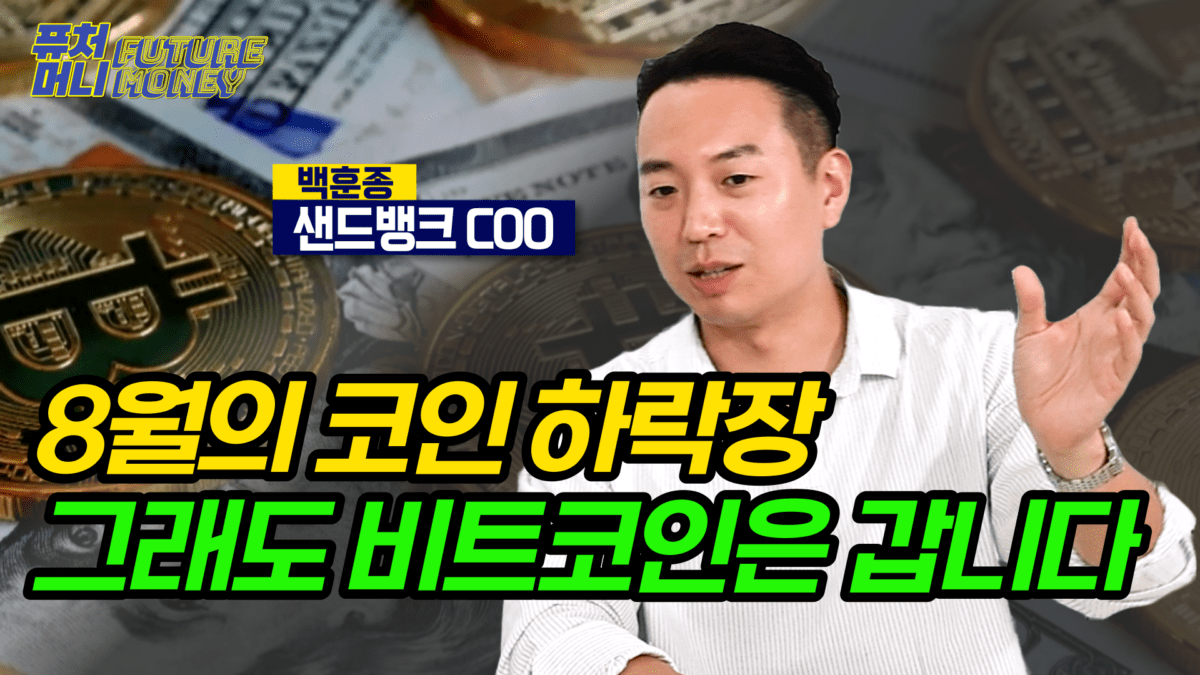 [영상] 코인 폭락 그래도 비트코인은 상승의 길을 간다