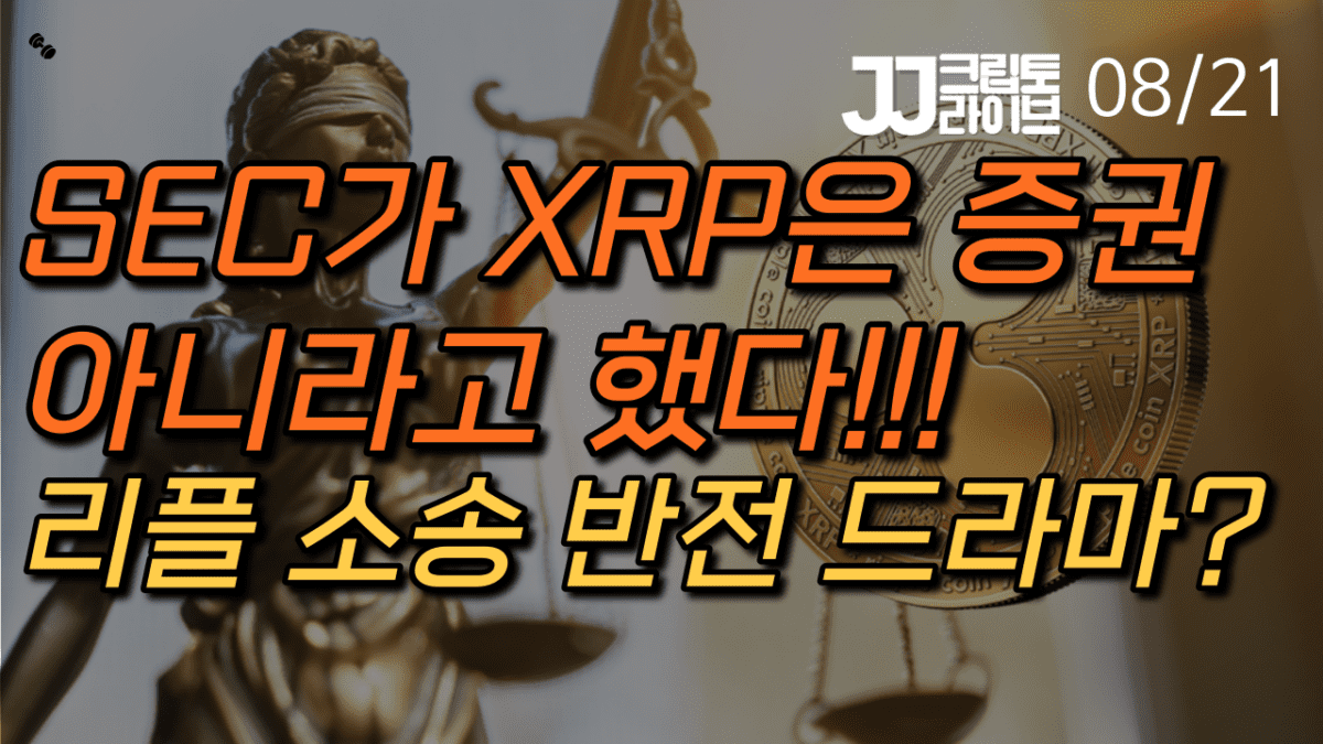 [영상] 리플 소송은 반전 드라마?…SEC가 XRP은 증권이 아니라고 했다!