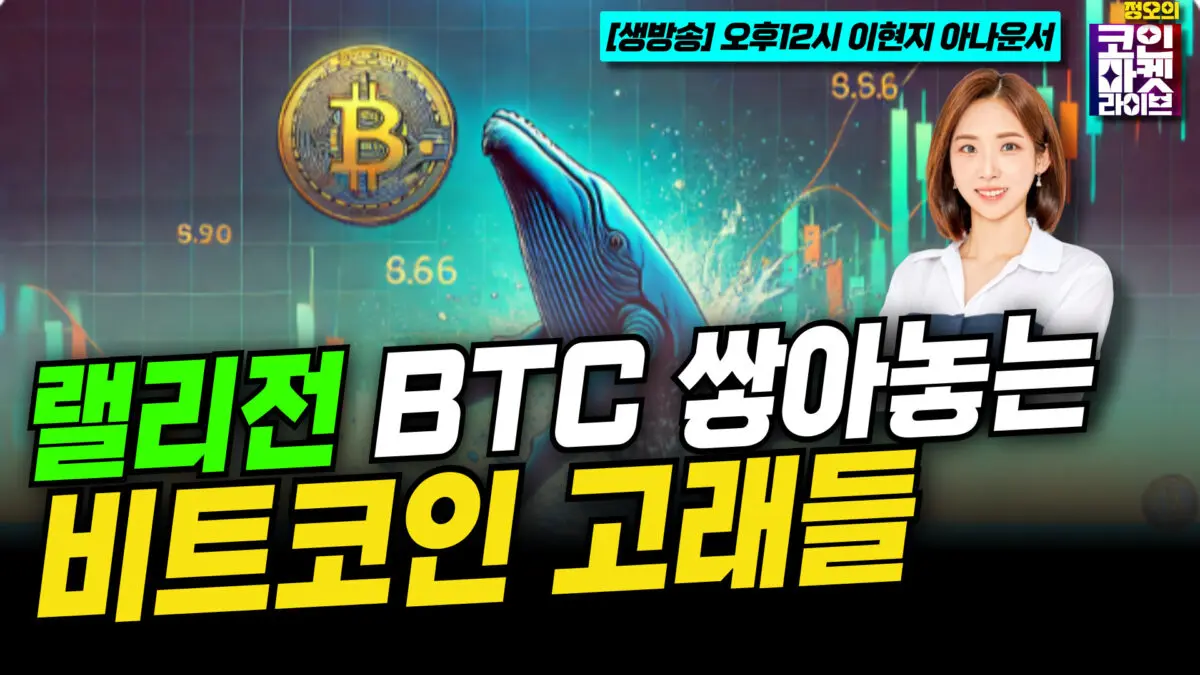 [영상] 랠리전, BTC 쌓아놓는 비트코인 고래들 (이현지)