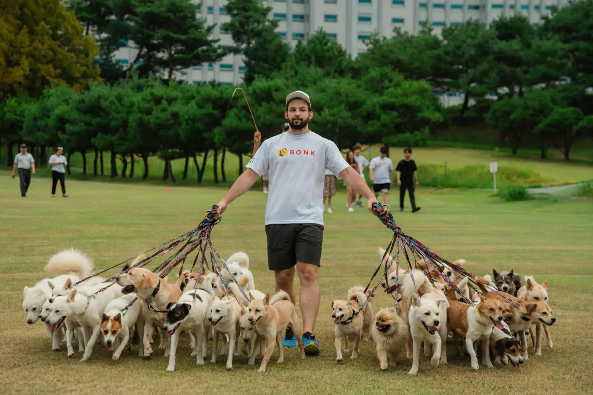 강아지 밈코인 봉크, 한국 유기견과 기네스 세계 신기록 달성