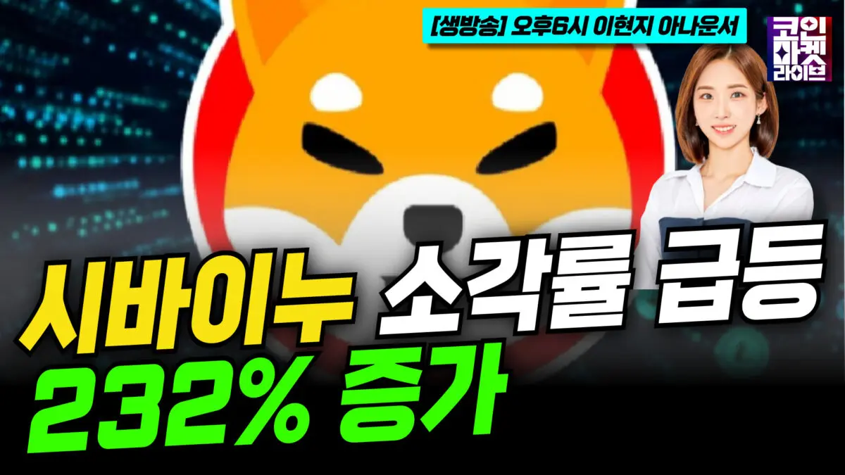 [영상] 시바이누(SHIB) 소각률 급등, 232% 증가 (이현지)