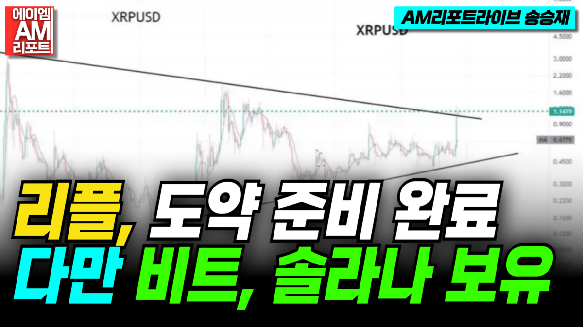 [영상] “리플, 도약 준비 완료–나는 비트코인과 솔라나만 보유”–피터 브랜트 (AM리포트라이브 송승재)