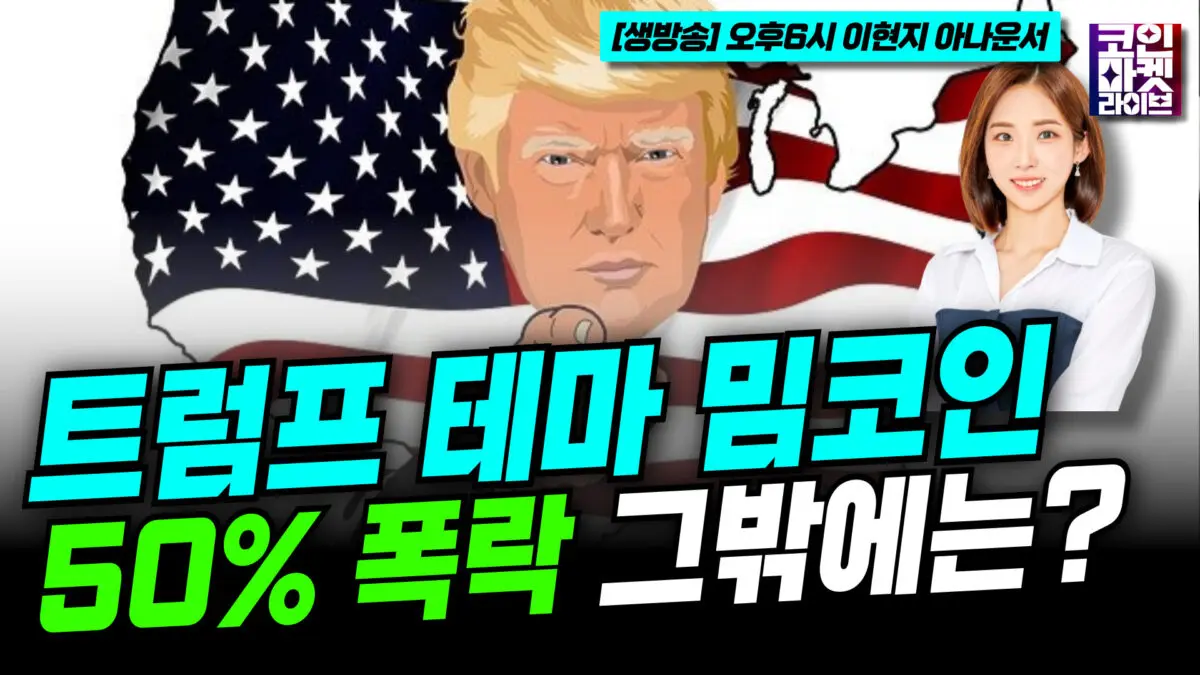 [영상] 트럼프 테마 밈코인 50% 폭락⋯도지코인도 하락세 (이현지)