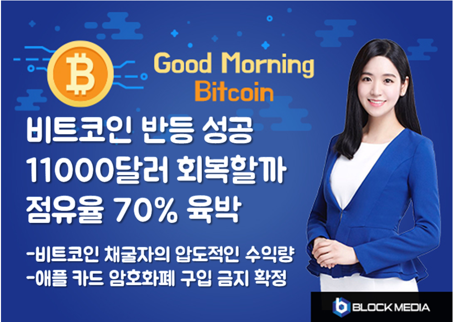 [굿모닝 비트코인] 0804 비트코인 반등 성공, 11000달러 회복할까.. 비트코인 점유율 70% 육박