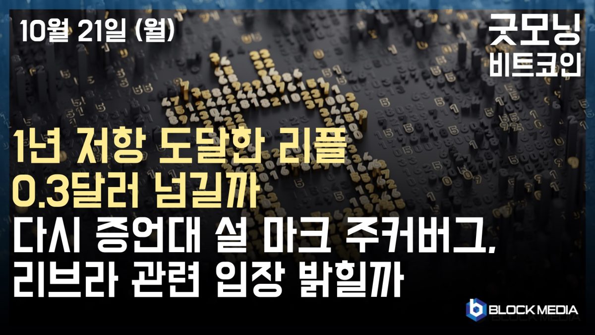 [굿모닝 비트코인] 1021 1년 저항 도달한 리플, 0.3달러 넘길까..페이스북,피델리티,삼성SDS 등 대기업 소식