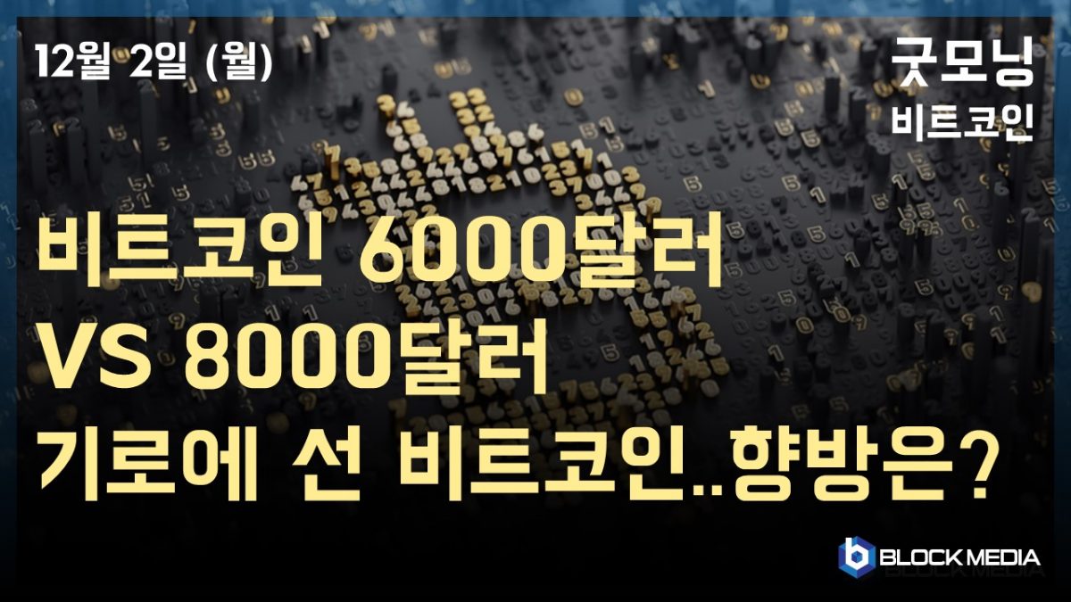 [굿모닝 비트코인] 1202 8000달러 대 회복 vs 6000달러 추락, 갈림길 선 비트코인