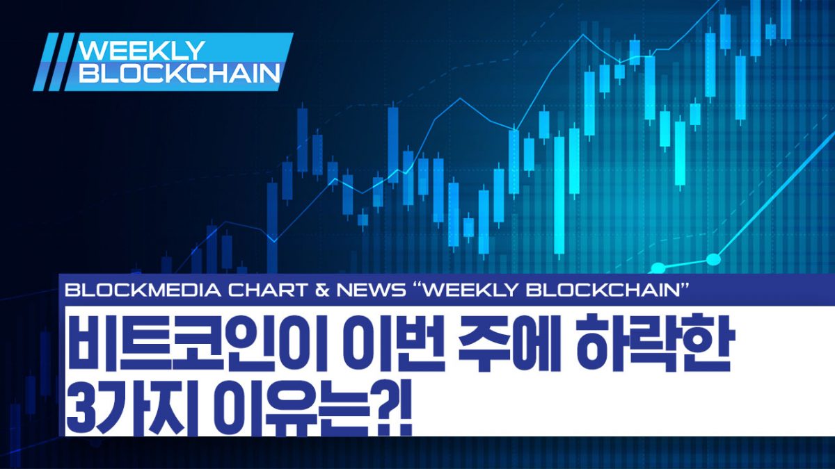 [위클리블록체인] 차트편 – 비트코인이 이번 주에 급락한 3가지 이유는?!