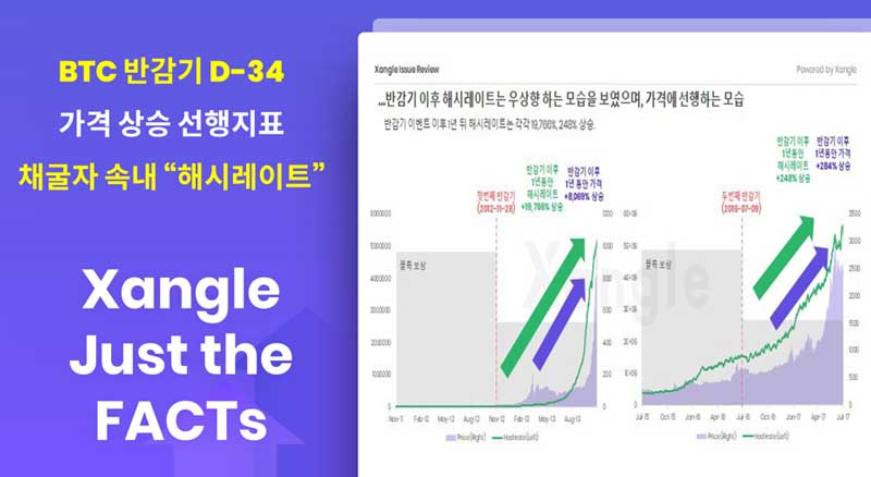 [Xangle Just the FACTs] D-34 BTC 반감기 관전 포인트 “채굴자 속내가 가격 선행한다. 해시레이트 상승세 볼 것”