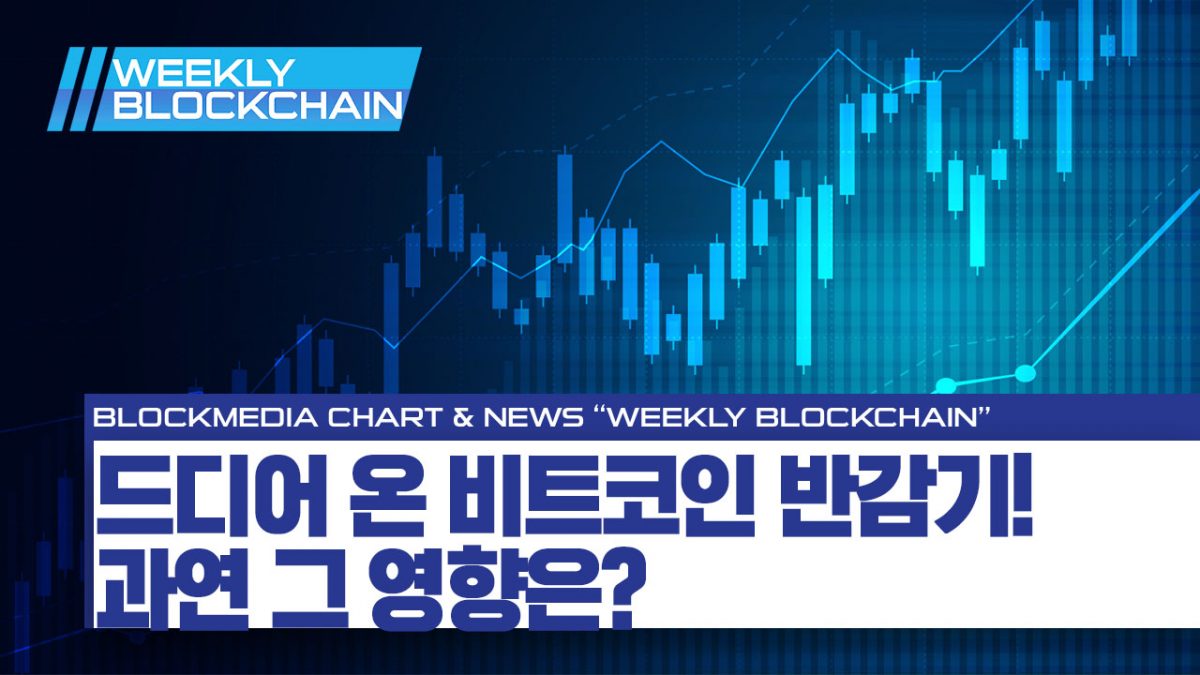 [위클리블록체인] 차트편 – 드디어 온 비트코인 반감기! 그 영향은?