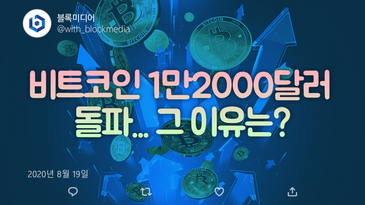 [트윗코인] 21화 – 비트코인 1만2000 달러 돌파 그 이유는