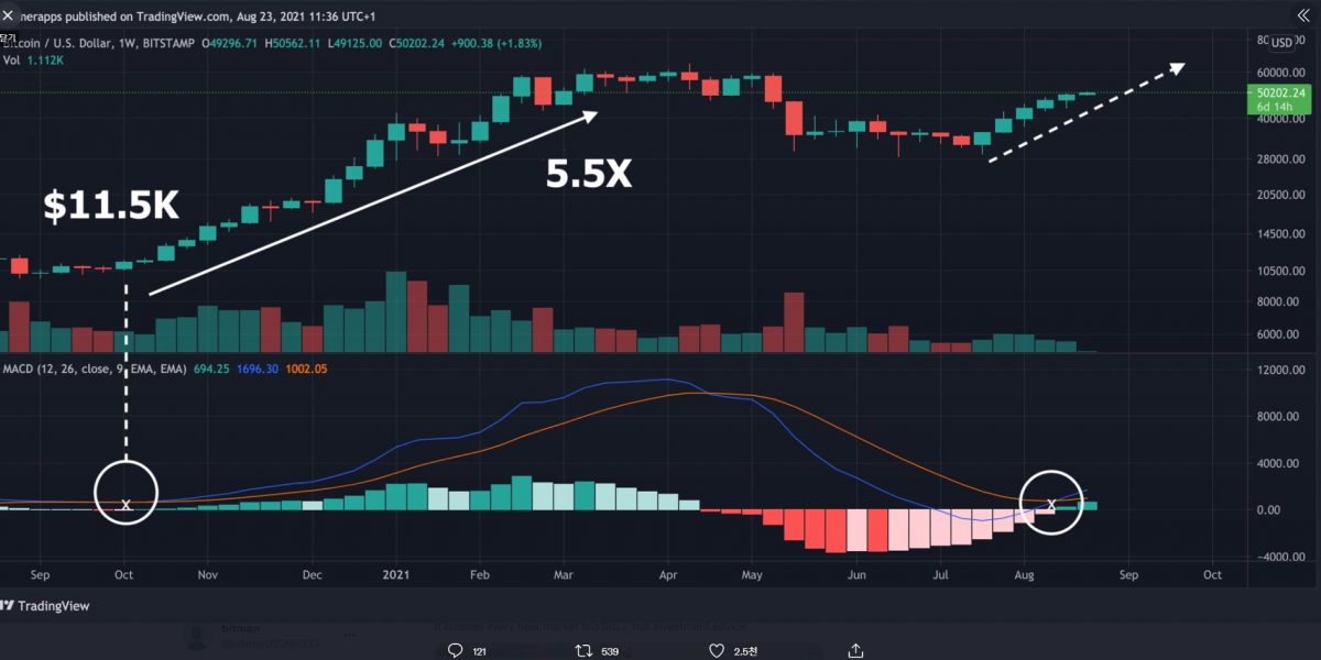 주간 MACD 골든크로스 발생–비트코인 아카이브