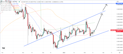 [LUNC 기술적 분석 차트, TradingView]