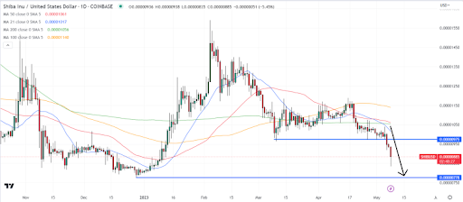 [시바이누 최근 6개월 일봉 차트, TradingView]