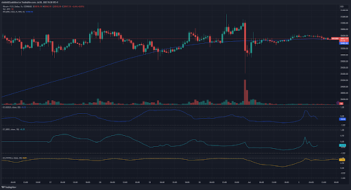 [비트코인 2023년 6월 5주차 차트, Trading View]