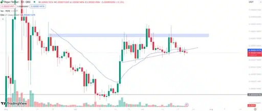 [페페 USDT 가격 차트, Trading View]