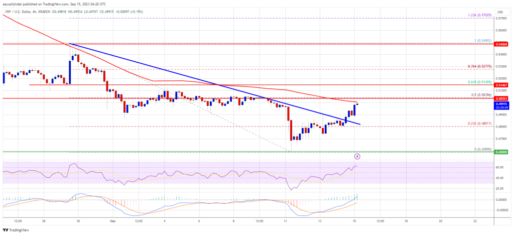 [리플(XRP) USD 가격 차트, NewsBTC]