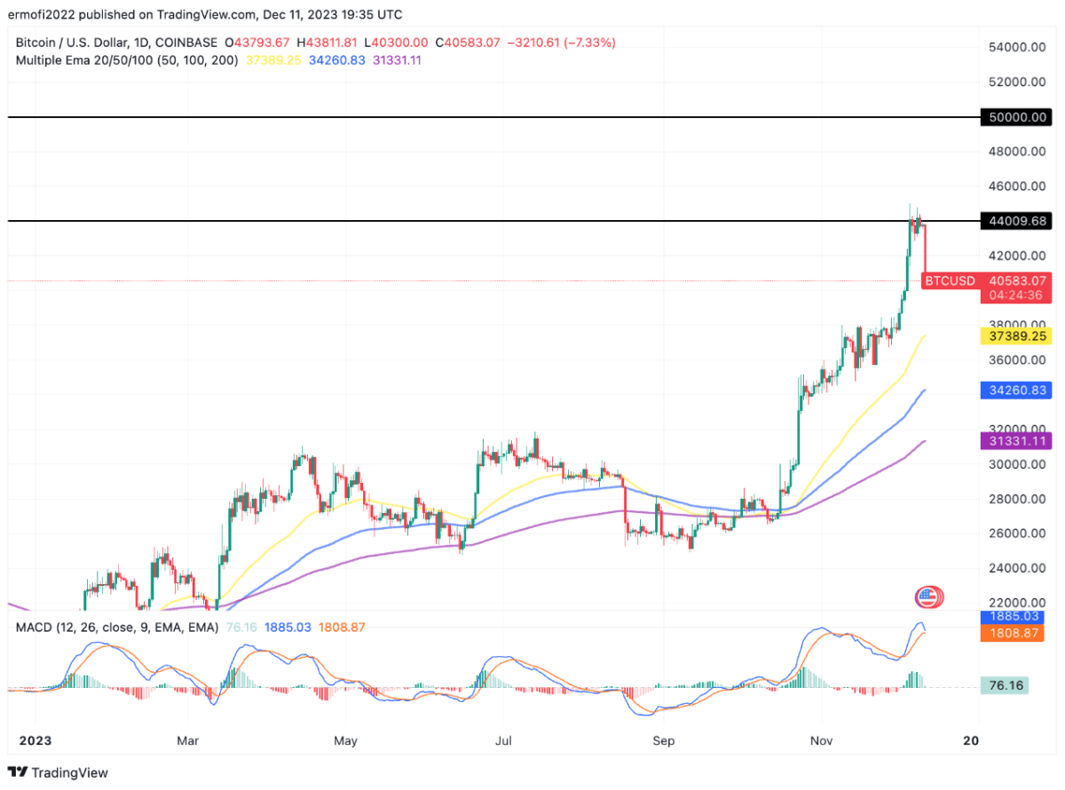 [비트코인 일봉 차트, TradingView]