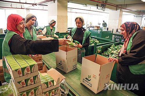 취약국 디폴트 위험 줄자 신흥국 정크본드 가격 급등