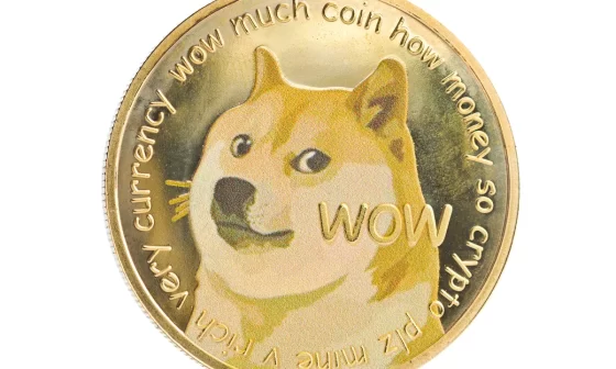 [도지코인 카보스, Dogecoin]