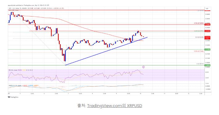  리플(XRP) 가격 회복 시작 … alt=