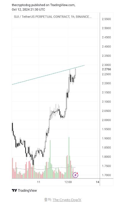  [주요 뉴스] 암호화폐 트레이더 더 크립토 도그, SUI와 밈코인 분석 공개