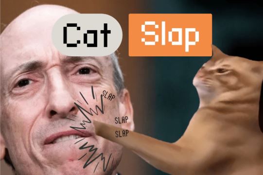 캣슬랩 프로젝트 이미지, CatSlap