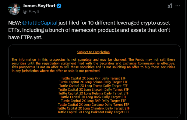  [주요 뉴스] 튜틀캐피탈, 2배 레버리지 암호화폐 ETF 출시 제안